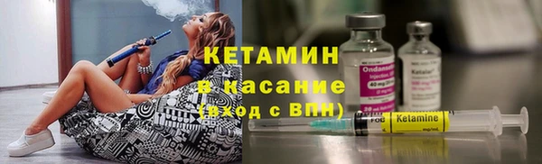 крисы Алзамай