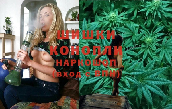 крисы Алзамай