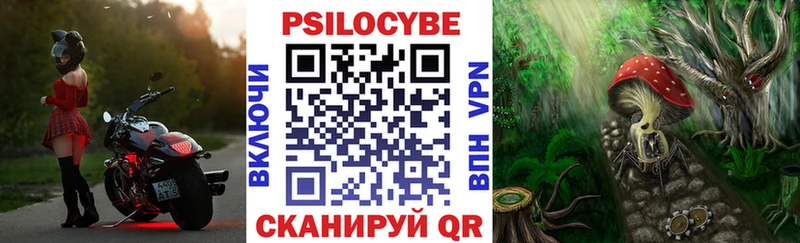 где купить наркоту Петушки Псилоцибиновые грибы прущие грибы